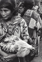 Street Photograpy